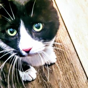 Meet your Posher, Lori